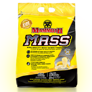 Mammoth Mass High-Calorie Gainer