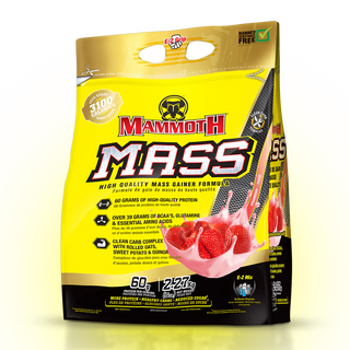 Mammoth Mass High-Calorie Gainer