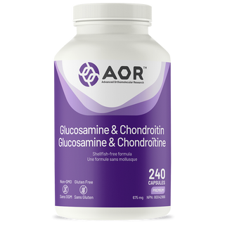 Glucosamine & Chondroitin, 240 caps